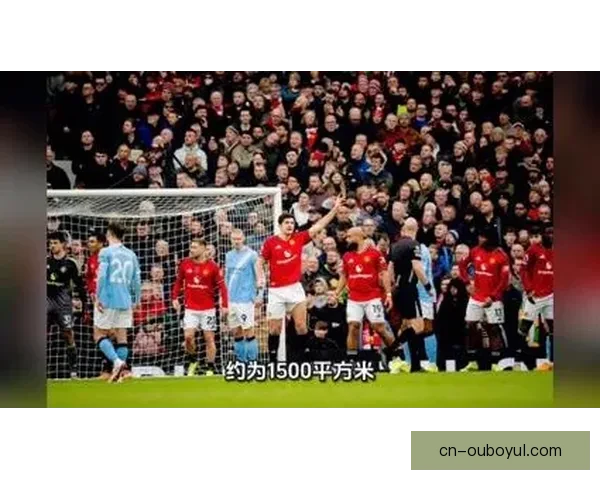 塞内加尔夺冠每人获11万5千欧